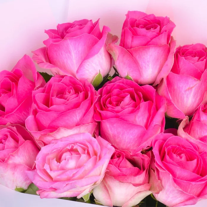 Букет из 11 розовых роз 60 см