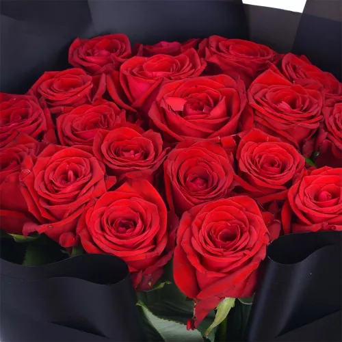 Монобукет из 21 красной розы Premium 60 см