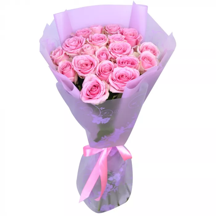 19 розовых роз 60 см в пленке
