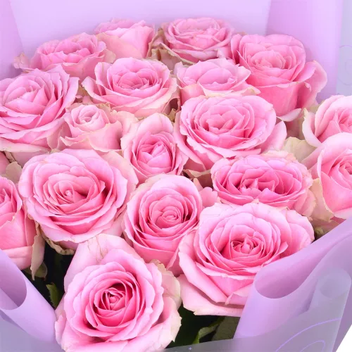 19 розовых роз 60 см в пленке