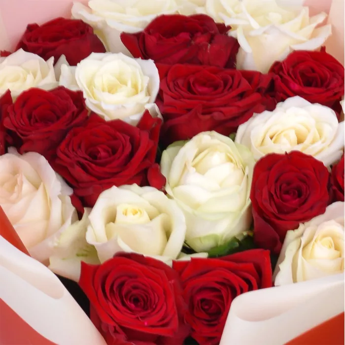 21 разноцветная роза Premium 50 см в пленке