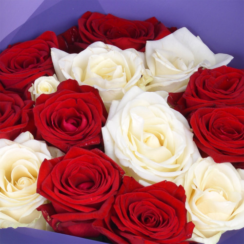 Монобукет из 15 разноцветных роз Premium 50 см