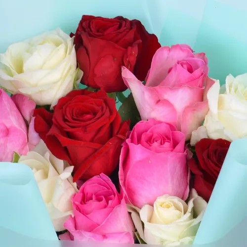 11 разноцветных роз Premium 50 см в пленке
