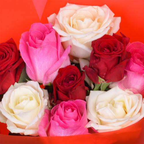 9 разноцветных роз Premium 50 см