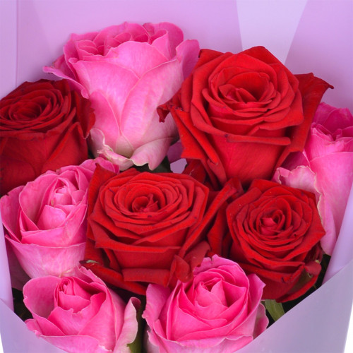 Монобукет из 9 разноцветных роз Premium 50 см