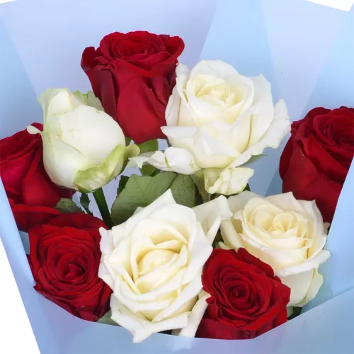 9 разноцветных роз Premium 50 см в пленке