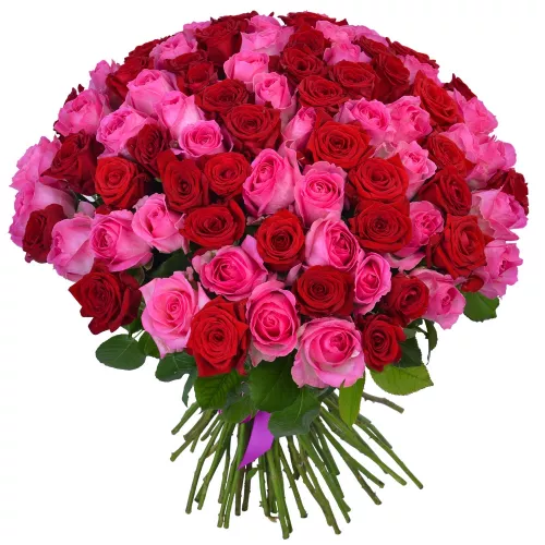 Букет из 75 разноцветных роз Premium 60 см