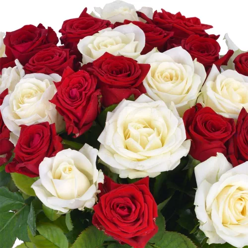 Букет из 25 разноцветных роз Premium 50 см
