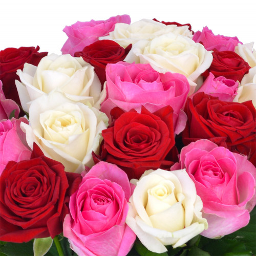 Букет из 25 разноцветных роз Premium 50 см в пленке