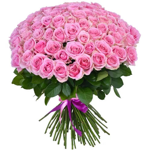 75 розовых роз Premium 60 см