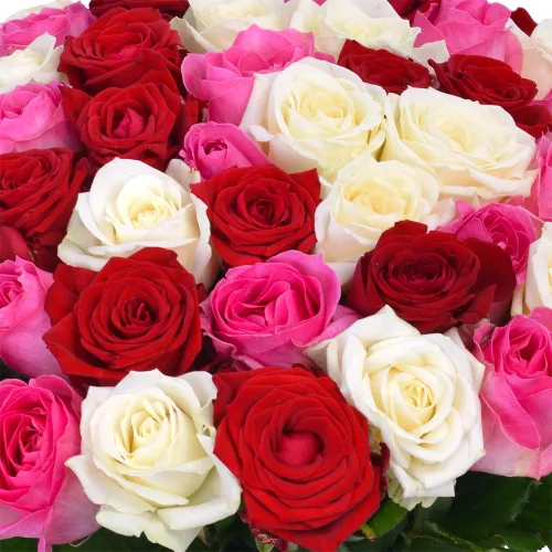 Монобукет из 51 разноцветной розы Premium 50 см
