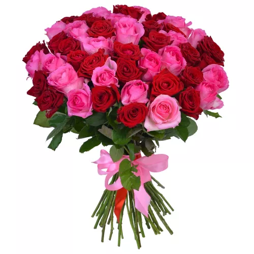 Букет на День матери из 51 разноцветной розы 50 см под ленту