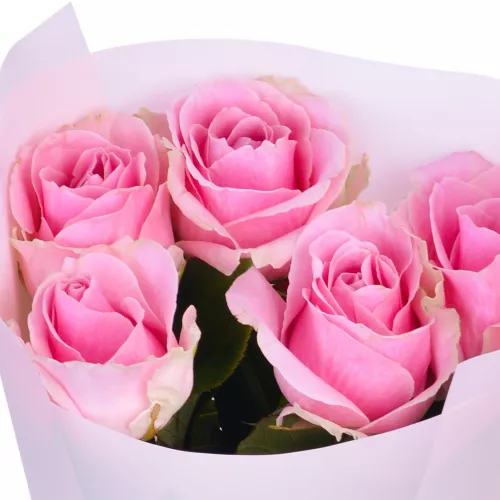Букет из 5 розовых роз 50 см