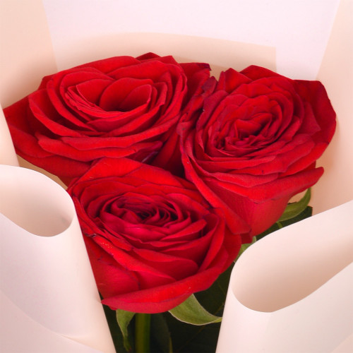3 красные розы 40 см
