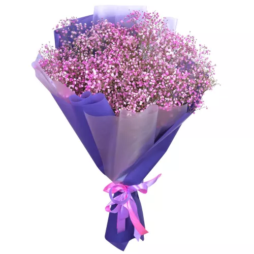Букет из 19 фиолетовых гипсофил