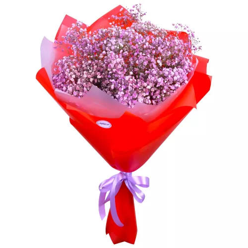 Букет цветов из 9 фиолетовых гипсофил на 18 лет