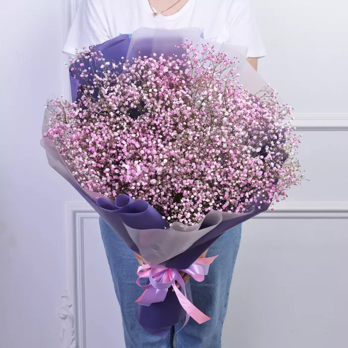 Букет из 19 фиолетовых гипсофил