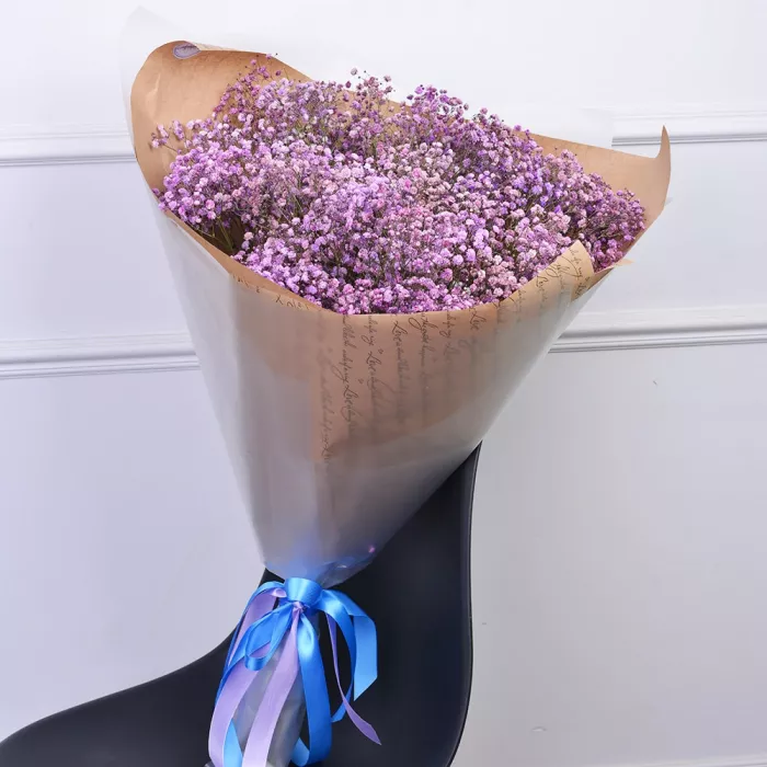 Букет из 11 фиолетовых гипсофил