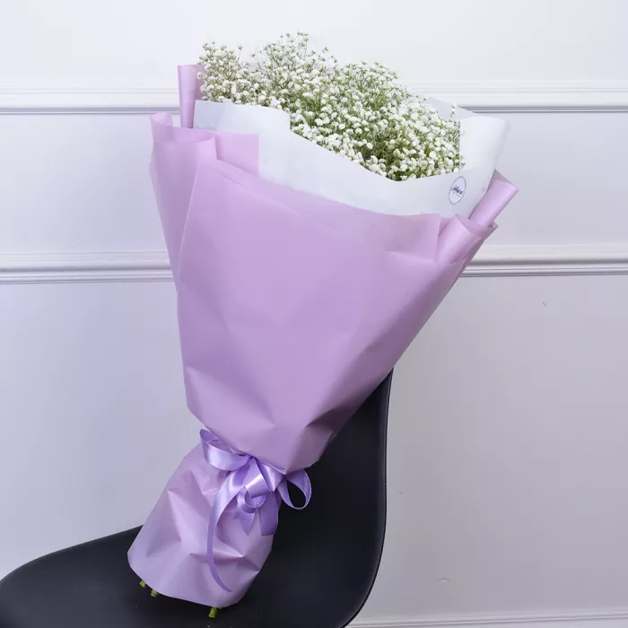 11 белых гипсофил