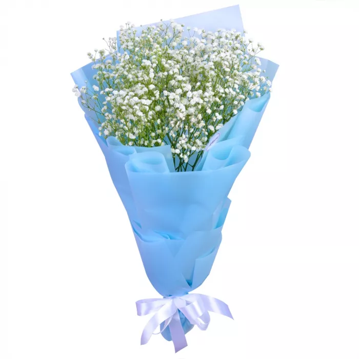 Букет из 5 белых гипсофил