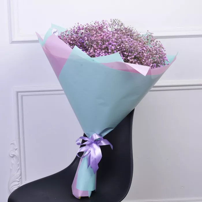 Букет из 15 фиолетовых гипсофил