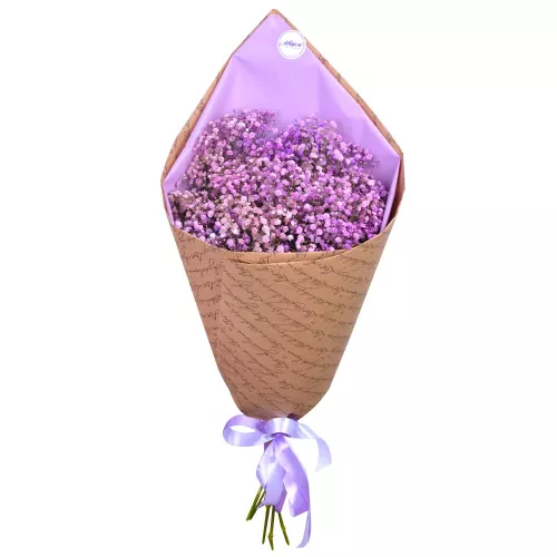 Букет из 5 фиолетовых гипсофил