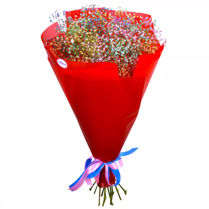 Букет из 11 радужных гипсофил