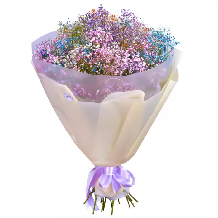 Букет из 15 радужных гипсофил