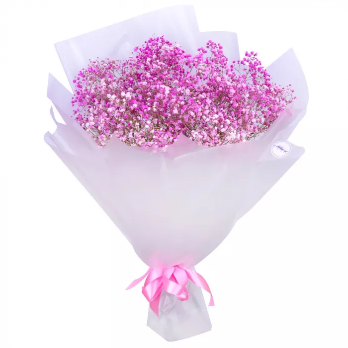 9 розовых гипсофил