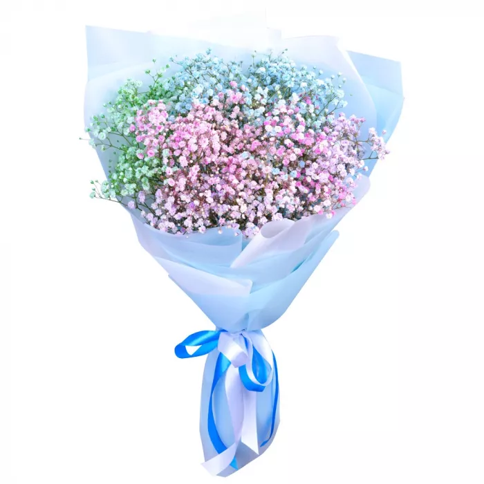 Букет из 9 разноцветных гипсофил