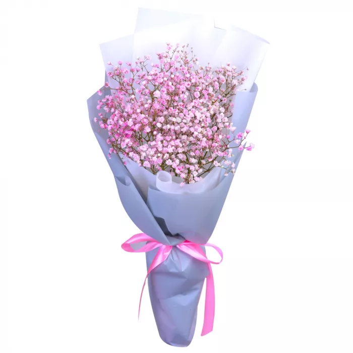 3 розовые гипсофилы