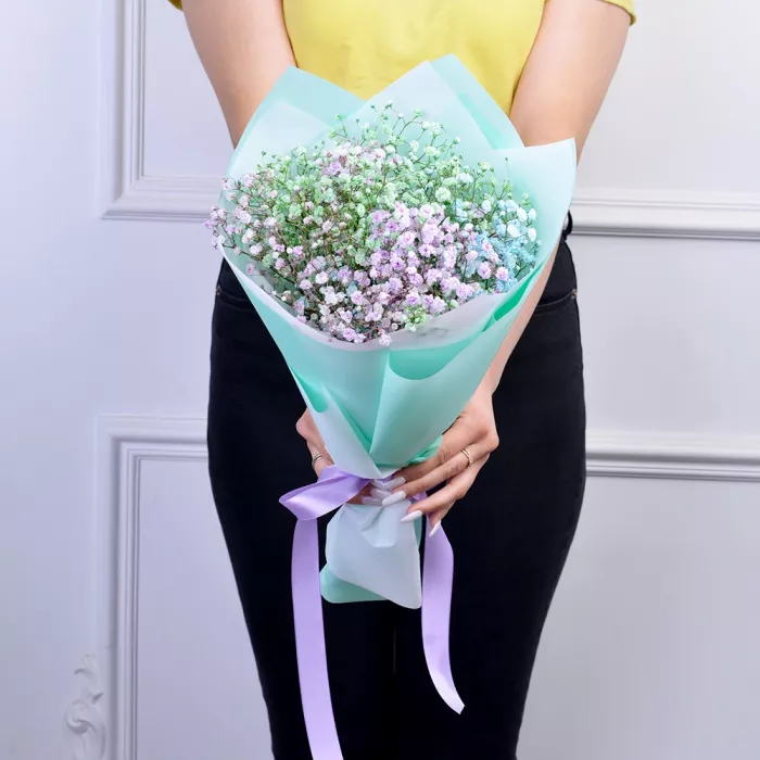 3 разноцветные гипсофилы