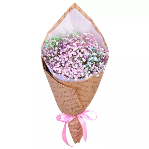 Букет из 5 разноцветных гипсофил