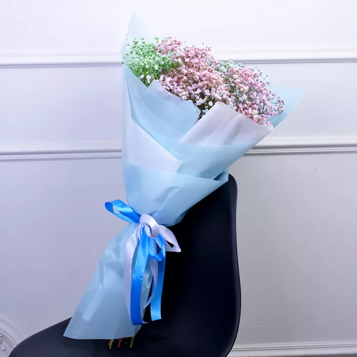 Букет из 9 разноцветных гипсофил