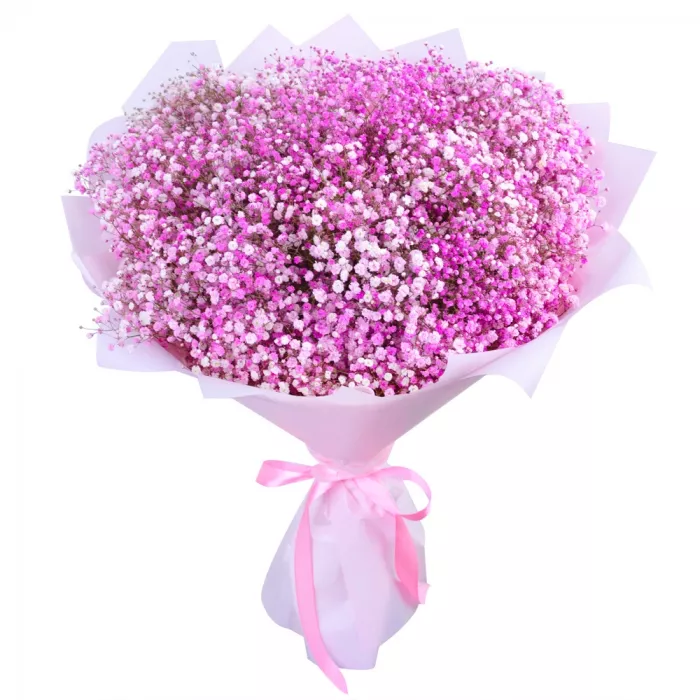 Букет из 35 розовых гипсофил