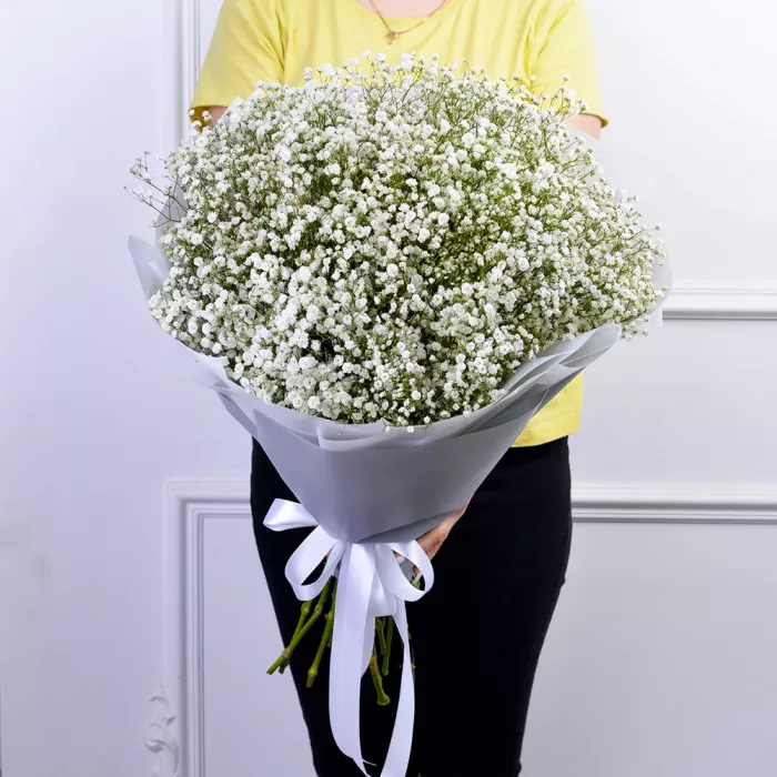 Букет из 25 белых гипсофил