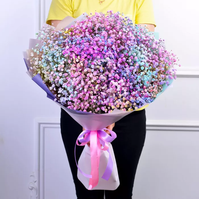 15 разноцветных гипсофил