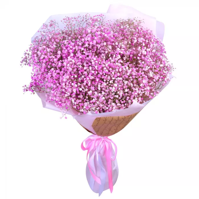 Букет из 25 розовых гипсофил