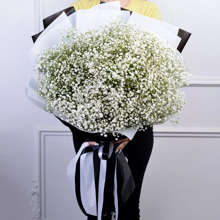 Букет из 35 белых гипсофил