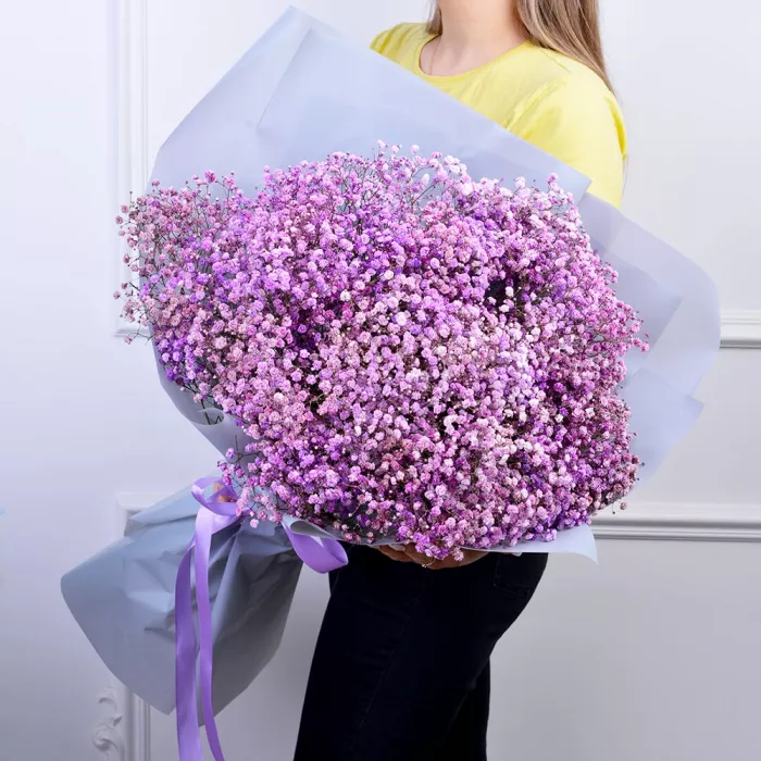 19 фиолетовых гипсофил