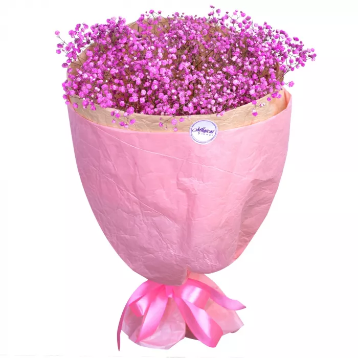 Букет из 5 розовых гипсофил