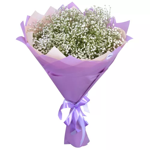 Букет из 11 белых гипсофил