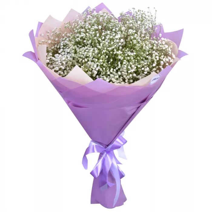 Букет из 11 белых гипсофил