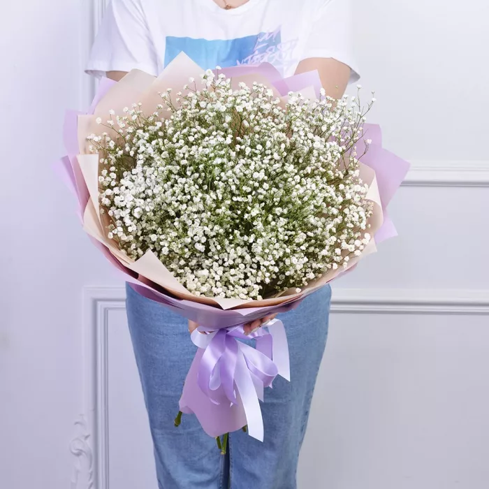 Букет из 11 белых гипсофил