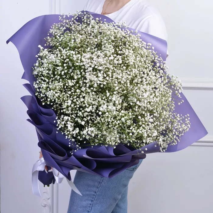 Букет из 19 белых гипсофил