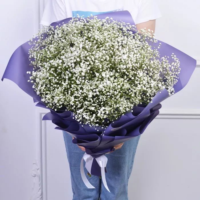 Букет из 19 белых гипсофил