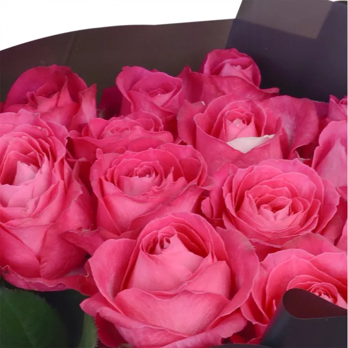 Букет из 15 малиновых роз 60 см