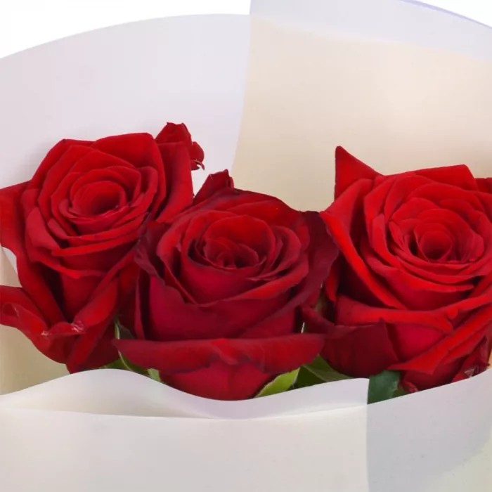 Букет из 3 красных роз 60 см