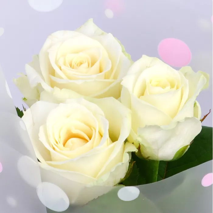 Букет из 3 белых роз 60 см
