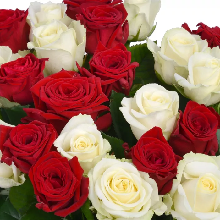 21 роза микс 60 см